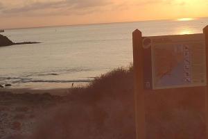 LOFT Surf & Playa El Medano con WIFI Luminoso Ideal con Mascotas