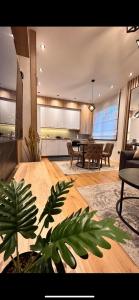 VILA LUNA-Apartman 1