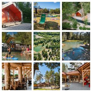 Forest Lodge Camping Menina 