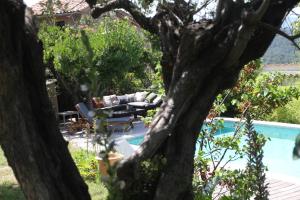 Maisons de vacances Charmant logement provencal avec piscine a deux pas du village medieval : photos des chambres