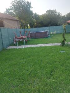 КРУШУНСКИ КЪТ ТЕЯ