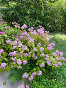 Sejours chez l'habitant Independent studio with garden in a charming guest house very close to Paris - separate entrance : photos des chambres