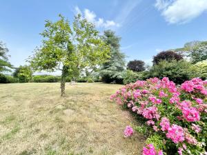 Maisons de vacances LE FOUR A PAIN - Campagne entre Plages et Quimper : photos des chambres