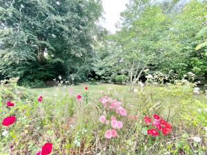 Maisons de vacances Le Four a Pain - Campagne entre Plages et Quimper : photos des chambres