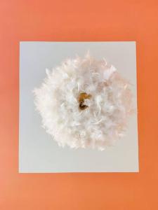 Le Bobohème - Wifi - Parking