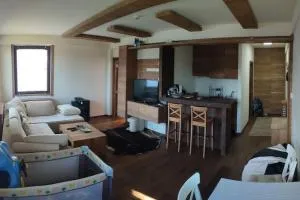 Lucic Apartman Vidik - Lisina