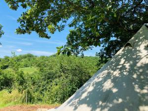 Tentes de luxe Tente bivouac Option bain chauffee au bois : photos des chambres