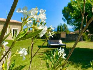 Maisons de vacances Mas Orea Sous la glycine : photos des chambres