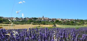 Maisons de vacances Maison de village en Provence : photos des chambres