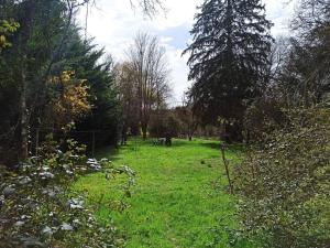 Maisons de vacances Gite de la Riviere : photos des chambres