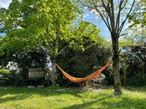 Maisons de vacances Le Clos des Trois Provinces, Zoo de Beauval : photos des chambres