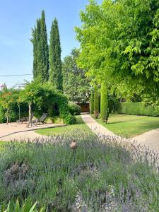 Villas Luxueux Mas provencal avec piscine au pied du Mont Ventoux : photos des chambres