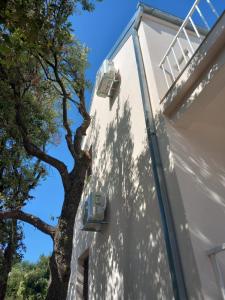 Apartman Lavandica