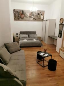 Central Designer Flat