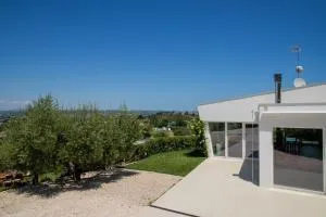 Ulivo Bianco - Torrevecchia Teatina