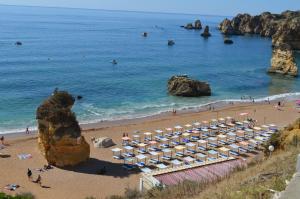 Above the beach, 10 min from the city center - Casa da Tartaruga