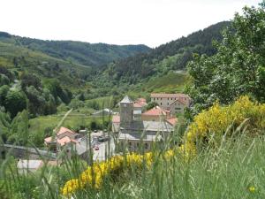 Maisons de vacances Charming Farmhouse in Cros de G orand with Swimming Pool : photos des chambres