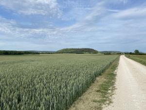 Maisons de vacances Boutique Holiday Home in Bouix with Garden : photos des chambres