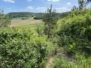 Maisons de vacances Boutique Holiday Home in Bouix with Garden : photos des chambres