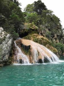 Maisons de vacances L’echappee belle Au coeur de la Provence verte : photos des chambres