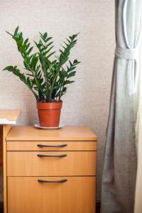 V 13 - 3 BDR Balcony, Views - Courtyard n Vokiečių