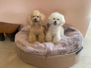 The Canvas Hayama Park