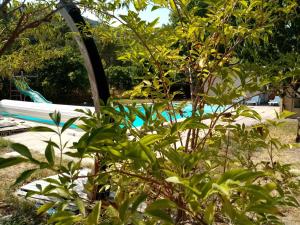 Sejours chez l'habitant Maison d'hotes eco-responsable avec piscine 6X12m : photos des chambres