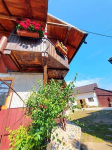 PENSIUNEA BOCA VORONET