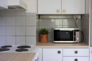 Kotoisa asunto Museon pihapiirissä Rautalammilla