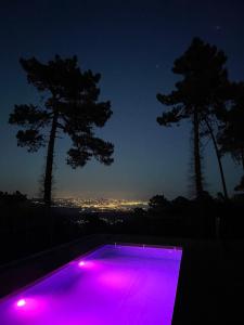 Villa Ormarine, vue exceptionnelle sur la baie de Cannes et le Mercantour