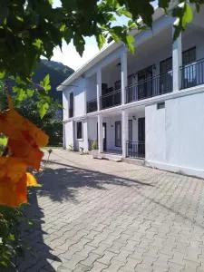 жули - 高尼奥