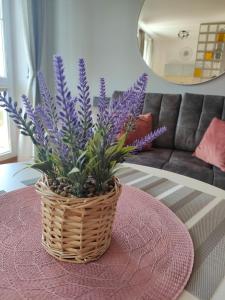 OLLY Apartament CIECHOCINEK