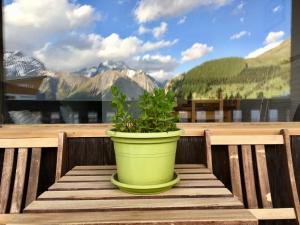 Lumineux Appartement 2 Alpes