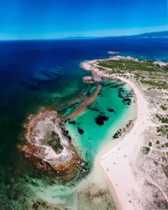 B&B Marino E Lily img20