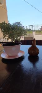 Olive Grove Cottage Skalani