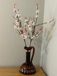 Omulīgs dzīvoklītis Āgenskalnā