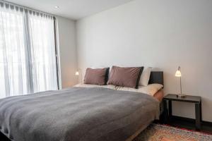 Denali Apartment by HomeFlow