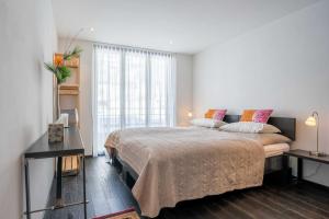 Denali Apartment by HomeFlow