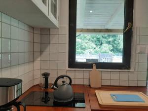 Domki w Lipowej Dolinie