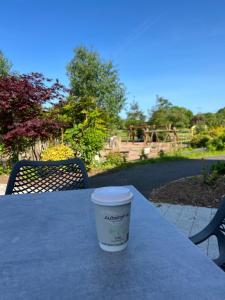 Maigue View by the River