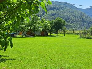 GLAMPING HIŠKe PETRIN