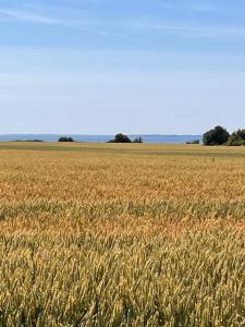 Munkgaard INN & OUTDOOR