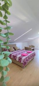 Maslina Rooms
