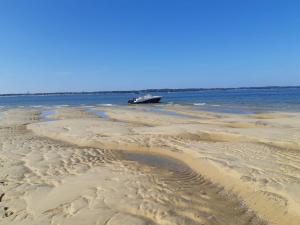 Appartements Bel appartement 2 pieces proche Arcachon, plage et port : photos des chambres