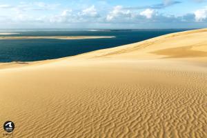 Appartements Bel appartement 2 pieces proche Arcachon, plage et port : photos des chambres