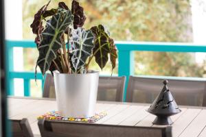 Atlantic Selection - Ene Etchola - Proche du port de Capbreton