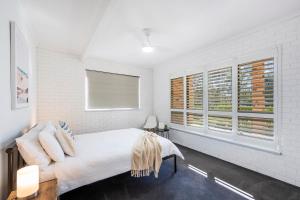 Tree Views - Oceanstays