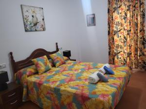 Casa baja naturista con palmeras y patio!