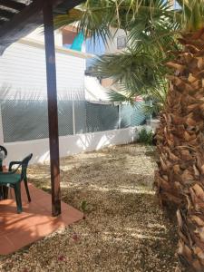 Casa baja naturista con palmeras y patio!