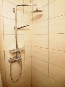 In the Center of Rogaška Slatina! Apartment Fani and Studio Marija